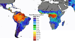 NASA Carbon Storage Map